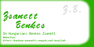 zsanett benkes business card